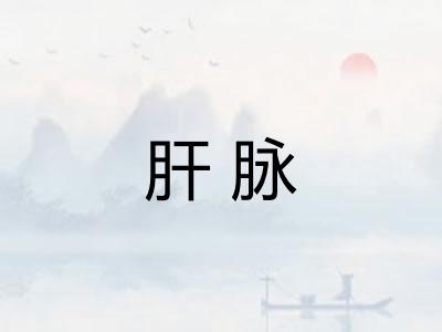 肝脉 肝脉