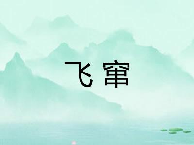 飞窜 飞窜