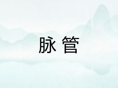 脉管 脉管