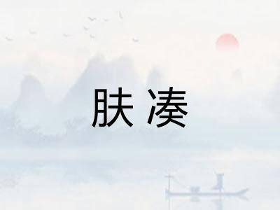 肤凑 肤凑