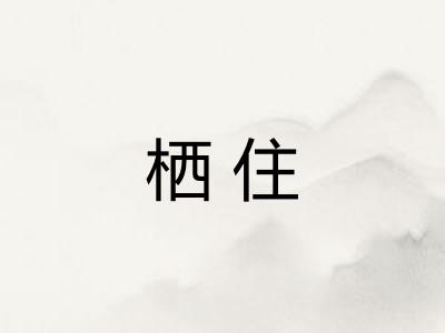 栖住