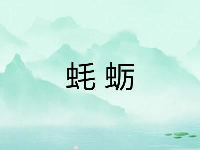 蚝蛎 蚝蛎