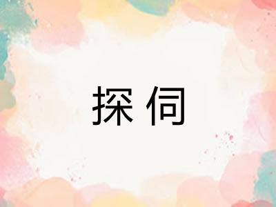 探伺 探伺
