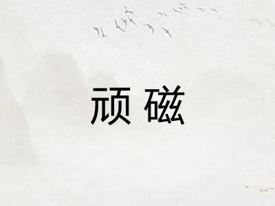 顽磁