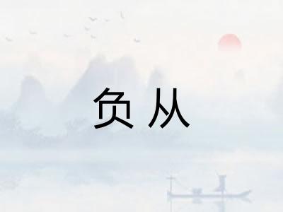 负从 负从