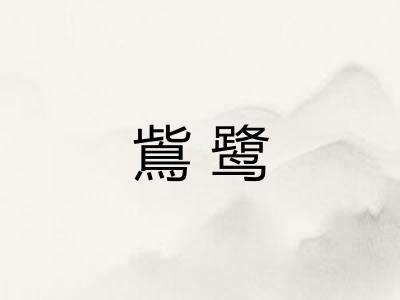 鴜鹭 鴜鹭