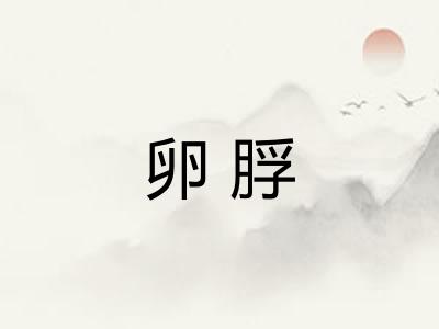 卵脬 卵脬