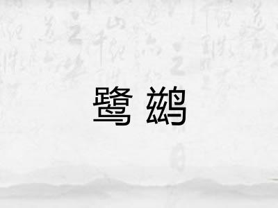鹭鹚 鹭鹚