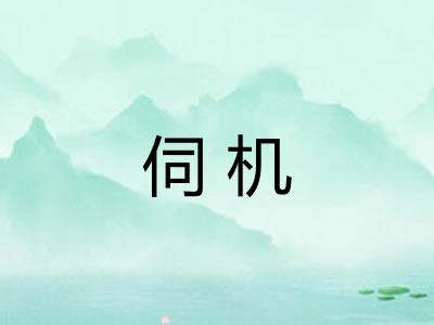 伺机