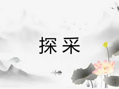 探采