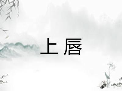 上唇 上唇