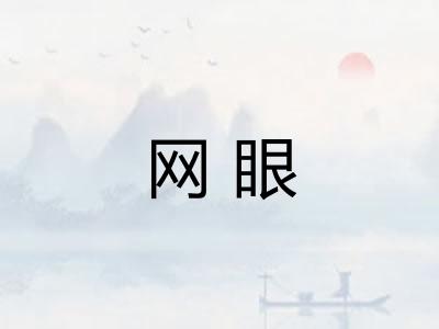 网眼 网眼