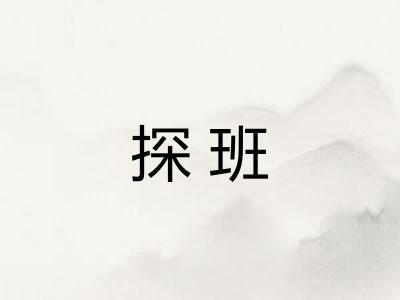 探班 探班