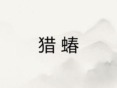 猎蝽 猎蝽