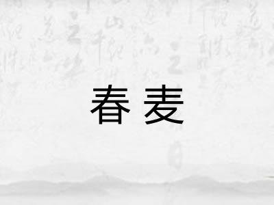 春麦 春麦