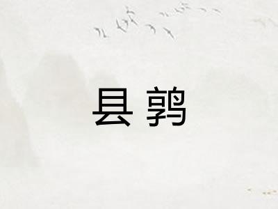 县鹑 县鹑