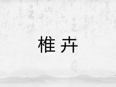 椎卉 椎卉