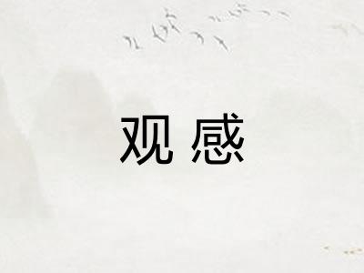观感 观感