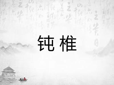钝椎 钝椎