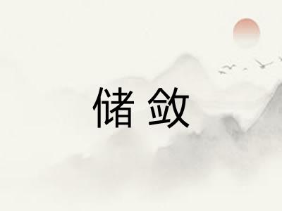 储敛 储敛