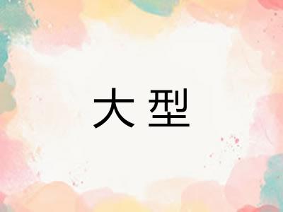 大型 大型