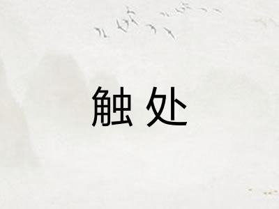 触处 触处