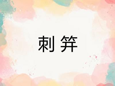 刺笄 刺笄