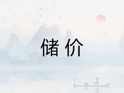 储价 储价
