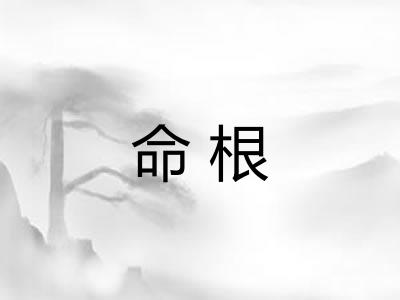 命根 命根