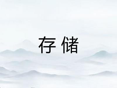 存储 存储