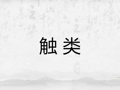 触类 触类