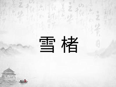雪楮
