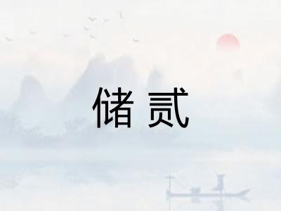 储贰 储贰