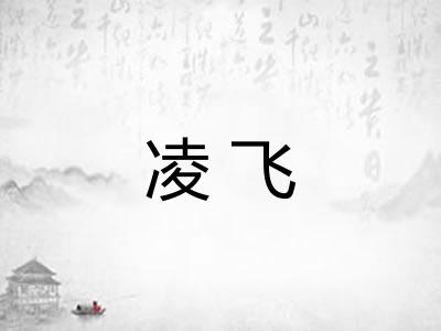 凌飞 凌飞
