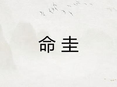 命圭 命圭