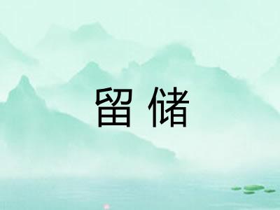 留储 留储