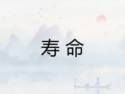 寿命 寿命