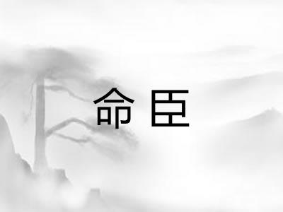 命臣 命臣