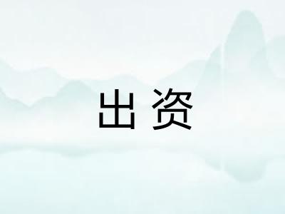 出资 出资