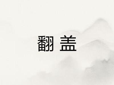 翻盖 翻盖