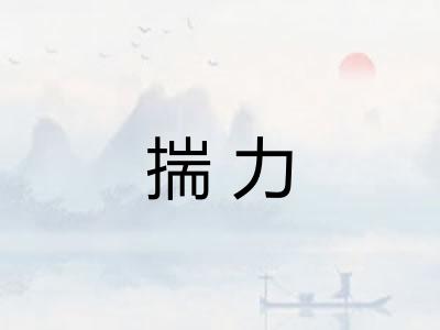 揣力