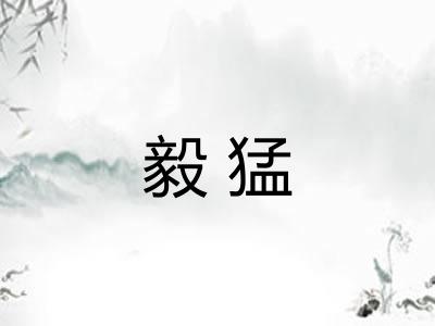 毅猛