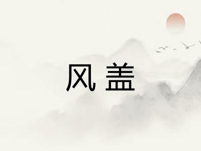 风盖 风盖