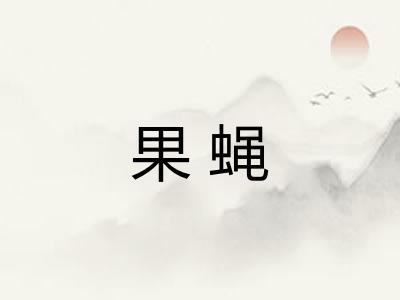 果蝇 果蝇
