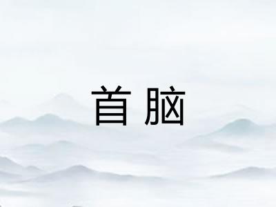 首脑 首脑