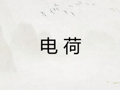 电荷 电荷
