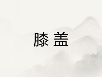 膝盖 膝盖