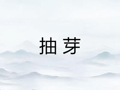 抽芽 抽芽