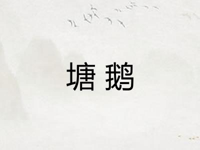 塘鹅 塘鹅
