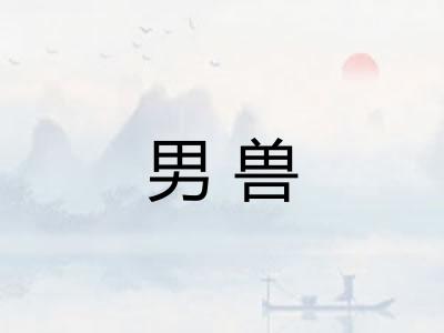 男兽 男兽